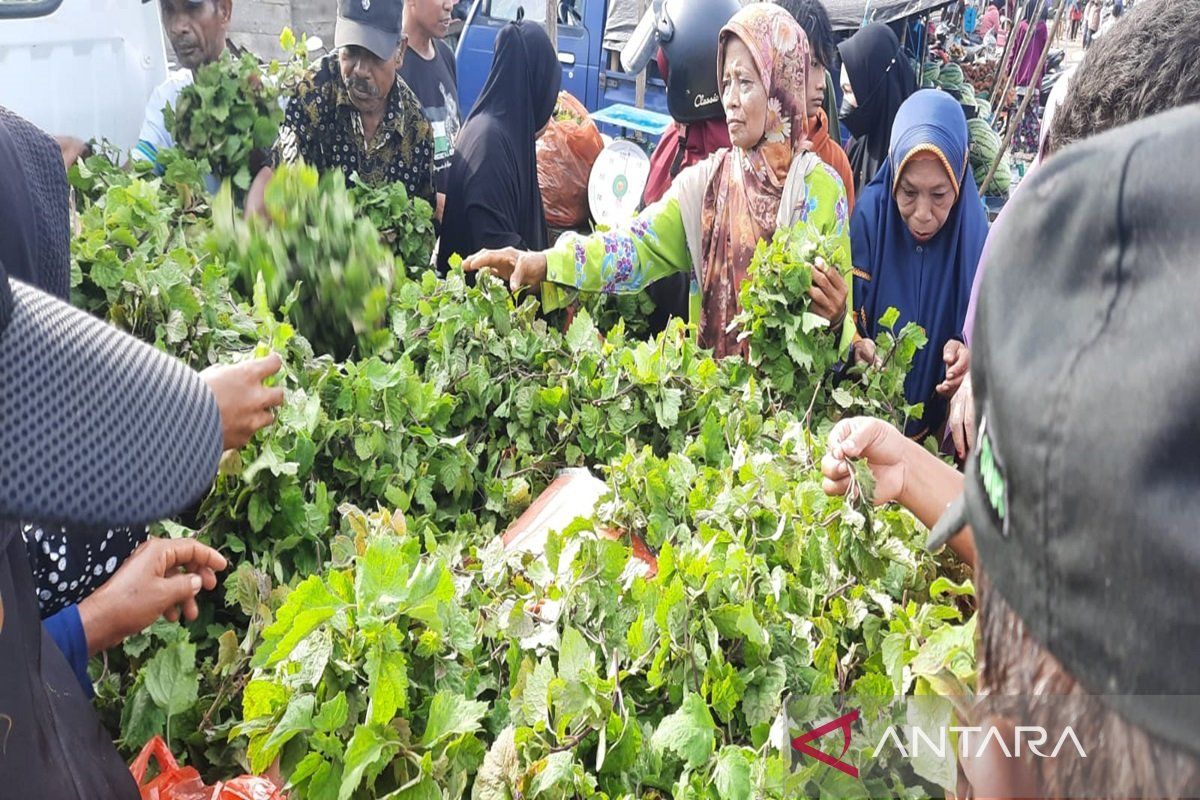 Pemkab Bombana serukan masyarakat kembangkan budidaya tanaman nilam