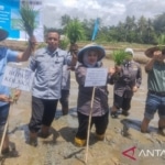 Kemenko Pangan dorong Kolaka optimalkan potensi pertanian dukung swasembada