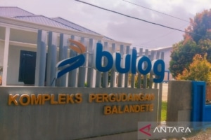 Bulog serap 39 ribu ton GKP petani di Kolaka hingga November 2025